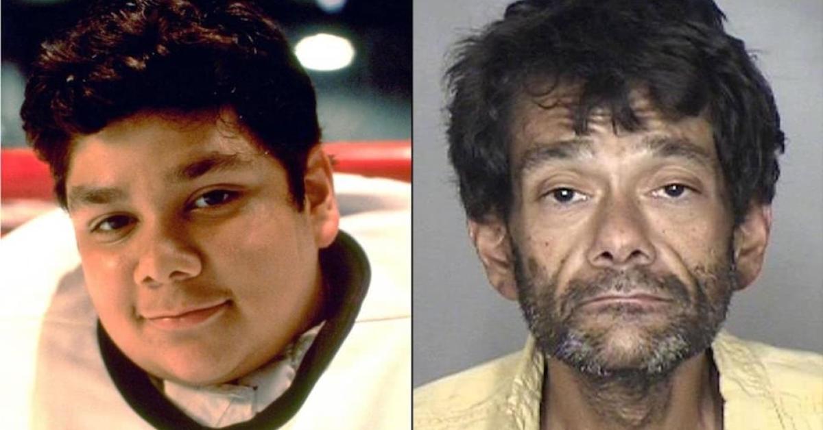 BarDown on X: The actor who played Goldberg in the Mighty Ducks was  arrested again:   / X