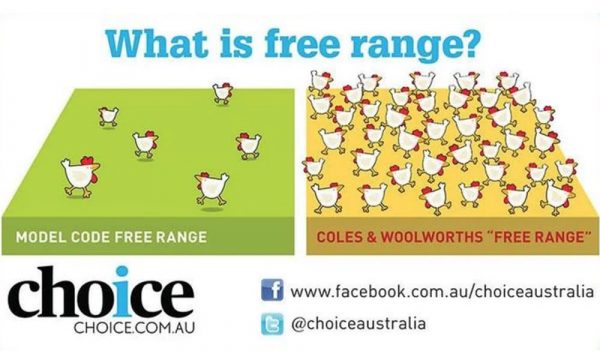 The difference in 'Free Range'