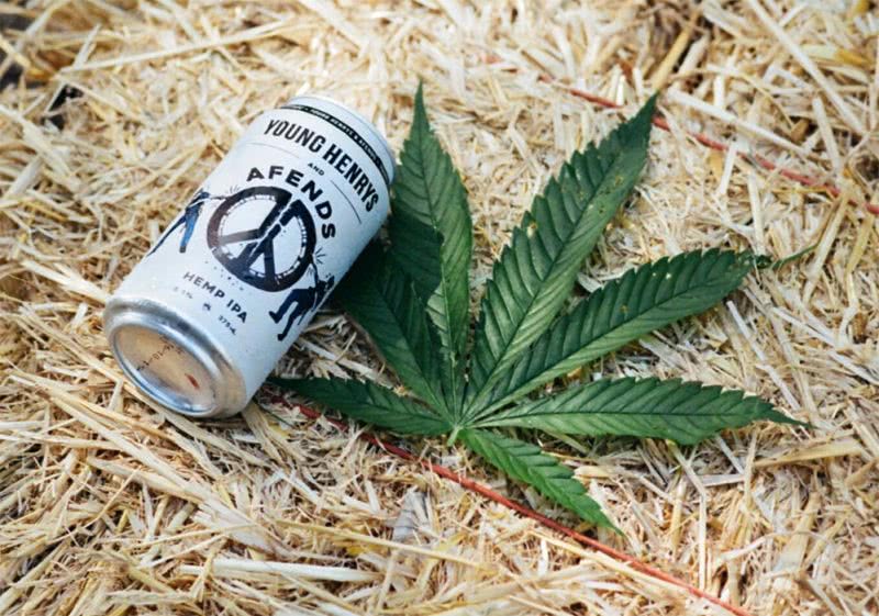 Young Henrys have teamed up with Afends to make a legal hemp beer