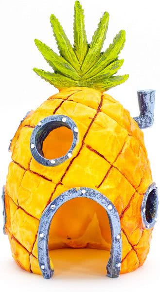 A pineapple one would normally associate with residing under the sea