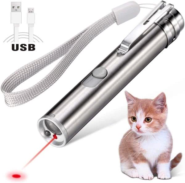 A laser pointer and also a cat that looks like the terminator